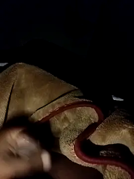 chickelikeme online show from 8, 4, 2026