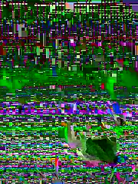 jayc23 online show from 23, 5, 2026