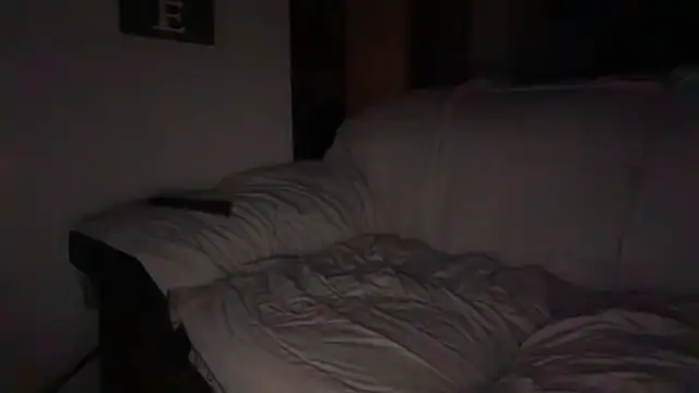 DR Green911 online show from 22, 4, 2026