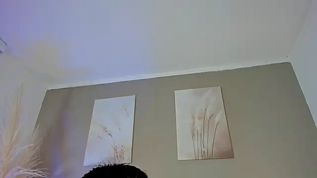Alexander Diazz online show from 19, 6, 2026