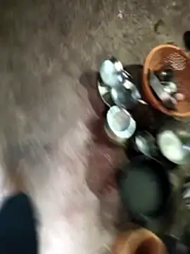 Rocky pune online show from 8, 4, 2026