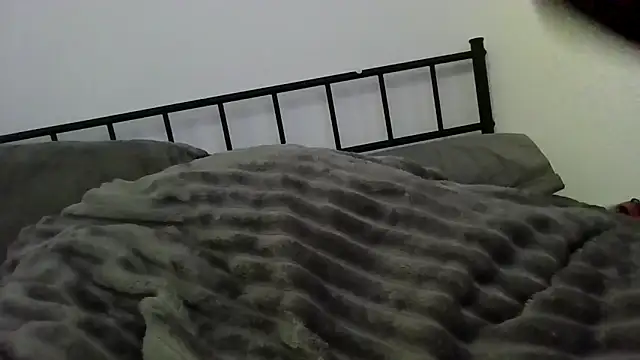 subcdpet online show from 7, 4, 2026