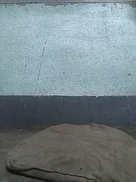 Raghav gi online show from 11, 4, 2026