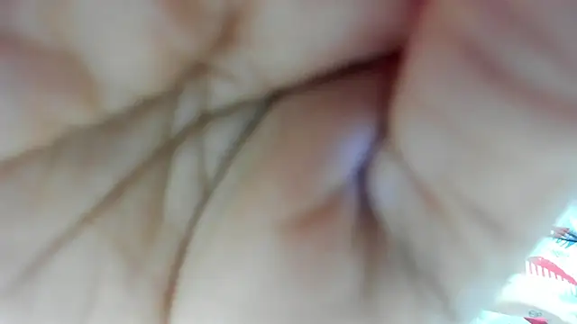 Lauren ws online show from 11, 4, 2026