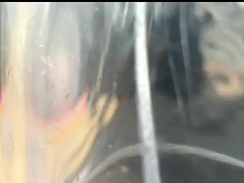 jake 1boy online show from 16, 4, 2026