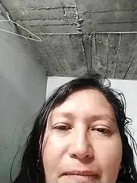 Dayis 2 online show from 11, 5, 2026