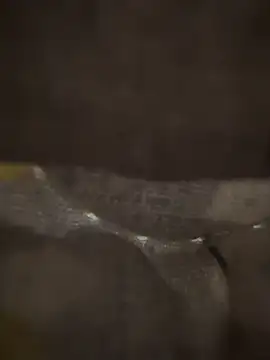 Snapshot of xezie chatting on 10, 4, 2026 xezie online show from 10, 4, 2026