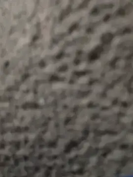 slimeoody93 online show from 12, 6, 2026