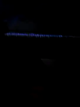 coupleslibres online show from 13, 4, 2026