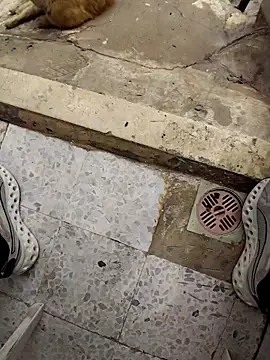 SwoppedEyedrop online show from 15, 4, 2026