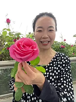 fafade2588 online show from 14, 4, 2026