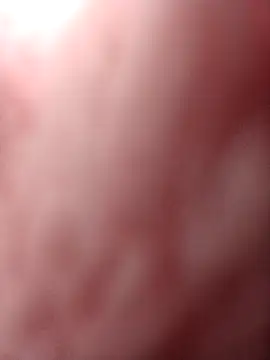 Flora Ambeers online show from 15, 4, 2026