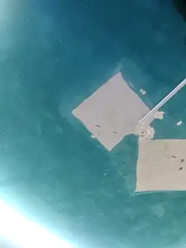 maicol6699 online show from 18, 4, 2026