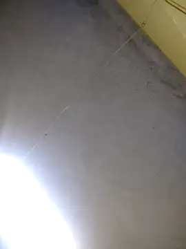 maicol6699 online show from 15, 4, 2026