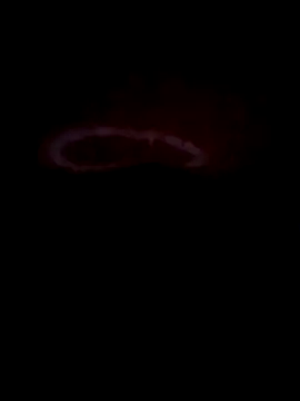 teluguabbai4567 online show from 21, 4, 2026