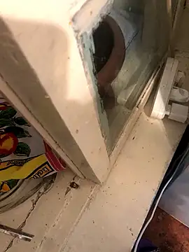 katilikat online show from 17, 4, 2026