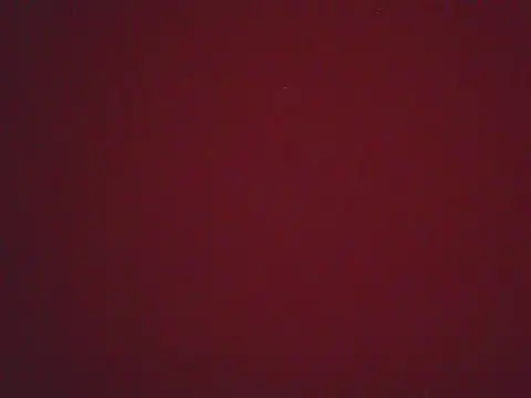 FernandaMartynelyh online show from 22, 4, 2026