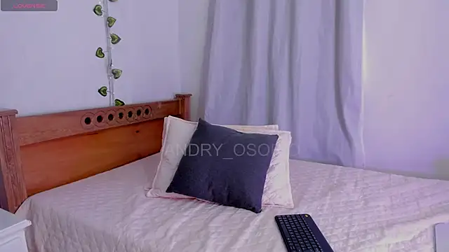 ANDRY OSORIO online show from 19, 4, 2026