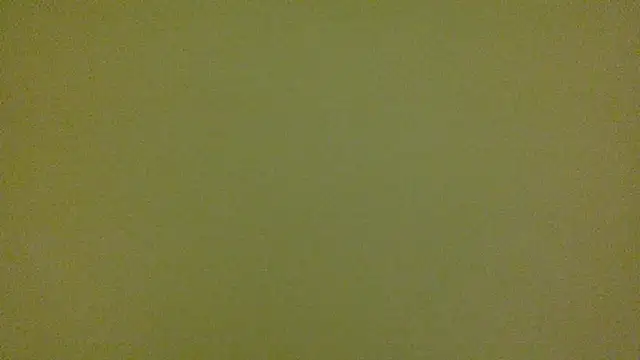 average jack online show from 16, 4, 2026