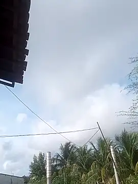  - - -larissa - - - online show from 20, 4, 2026