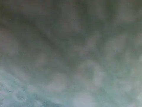 Short-V online show from 17, 4, 2026