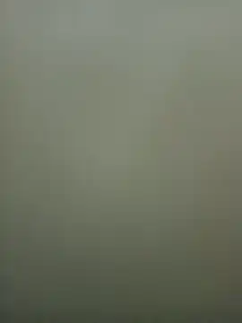 Good Boy-222 online show from 17, 4, 2026