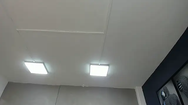 Charlie   Musk online show from 19, 6, 2026