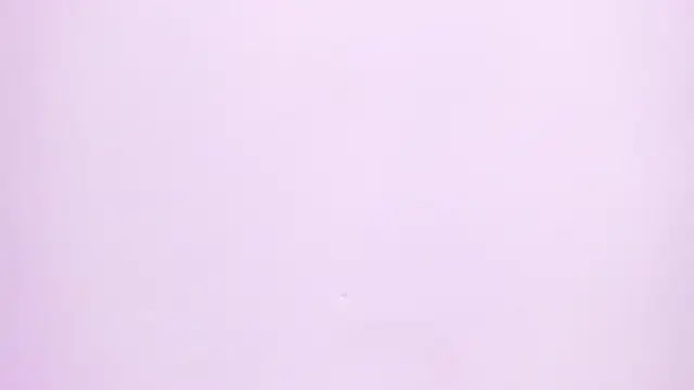 Natasha028  online show from 2, 6, 2026