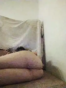 Vina-arab online show from 28, 4, 2026