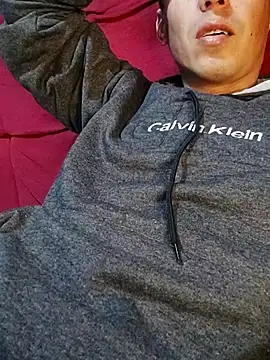 Gavii2026 online show from 7, 7, 2026