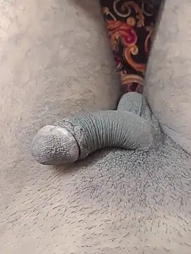 desibullboybd online show from 21, 5, 2026