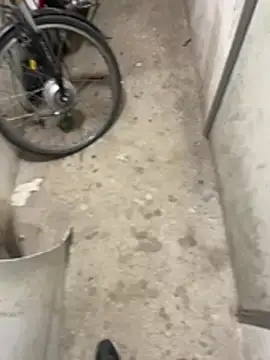 desirchat online show from 25, 4, 2026