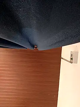 Roshini hot online show from 28, 4, 2026