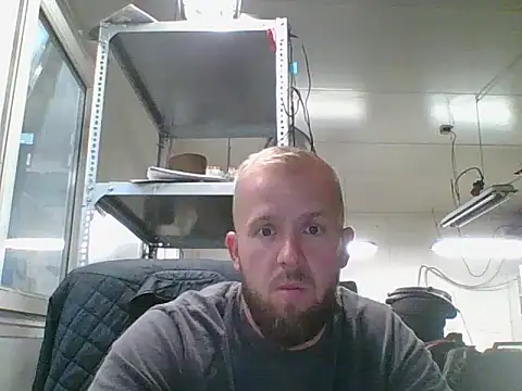 bardiauto online show from 8, 7, 2026