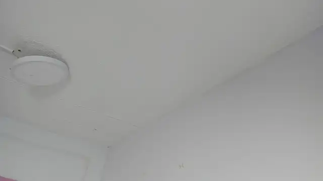 Sharon Adamss online show from 9, 7, 2026