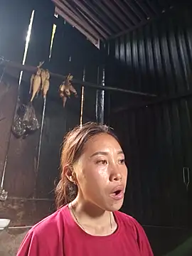 Snapshot of Jinli_01 chatting on 17, 5, 2026 Jinli 01 online show from 17, 5, 2026