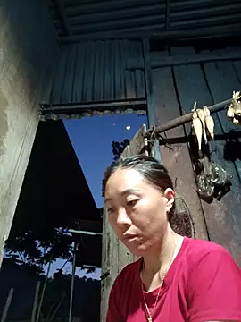 Snapshot of Jinli_01 chatting on 20, 5, 2026 Jinli 01 online show from 20, 5, 2026