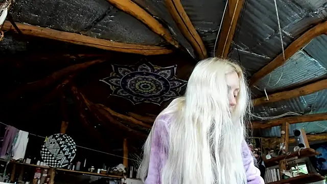 wildforestmuse  online show from 11, 7, 2026