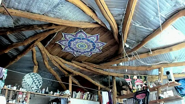 wildforestmuse  online show from 8, 7, 2026