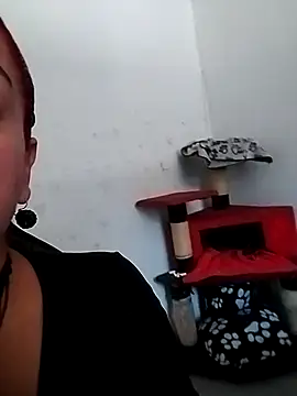 Tumilf online show from 11, 6, 2026