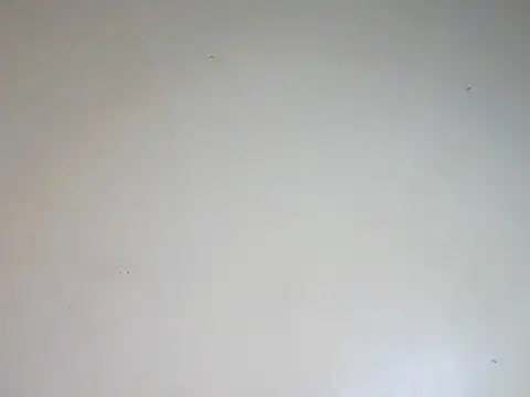 Sexydoll36 online show from 3, 8, 2026