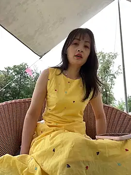 huihui 520 online show from 2, 6, 2026