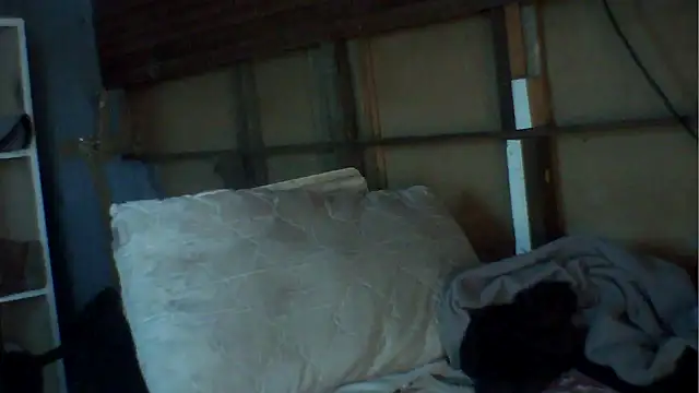 Snapshot of Camodick chatting on 2, 12, 2025 Camodick online show from 2, 12, 2025