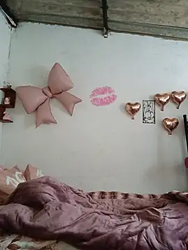 mileidy0106 online show from 4, 7, 2026