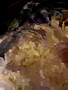 LonesomeMegawatt online show from 24, 7, 2026