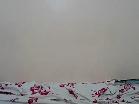 Hornysmoker20 online show from 7, 7, 2026