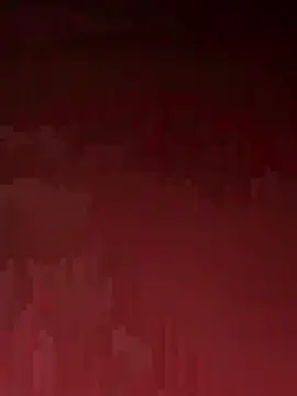 SeuGuarda2001 online show from 3, 6, 2026