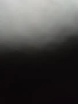 WonttoVender online show from 19, 6, 2026