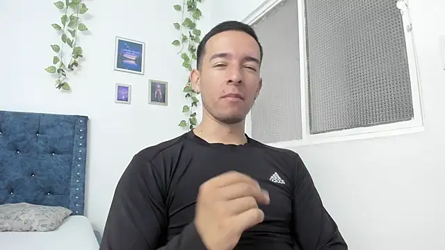 scarlett 777 dante online show from 17, 6, 2026