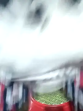 Bong sexy online show from 16, 6, 2026